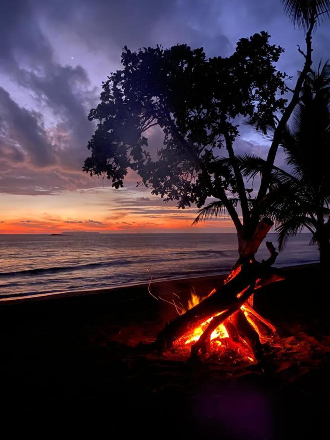 Kinkajoungalows - Amaya Family, Drake Bay, Osa Peninsula San Pedrillo المظهر الخارجي الصورة